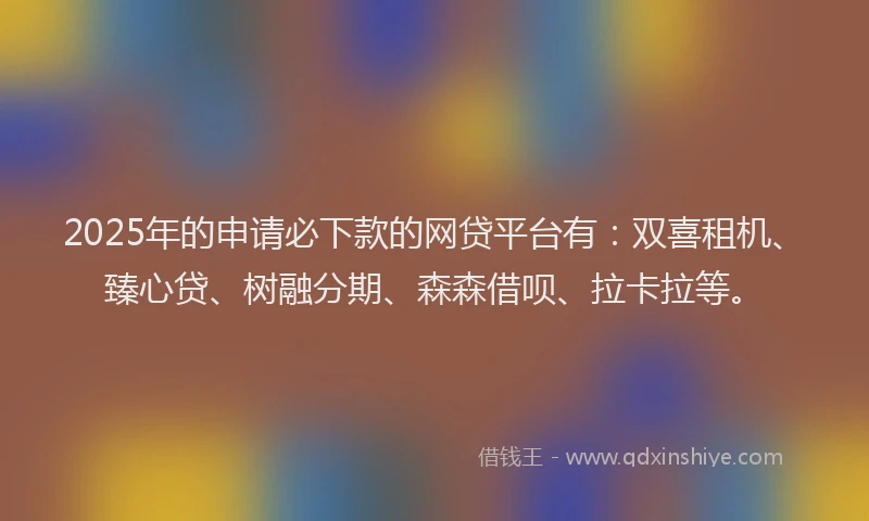 2025年的申请必下款的网贷平台有：双喜租机、臻心贷、树融分期、森森借呗、拉卡拉等。