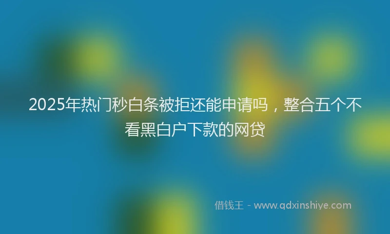 2025年热门秒白条被拒还能申请吗，整合五个不看黑白户下款的网贷