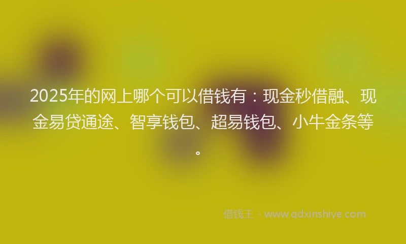 2025年的网上哪个可以借钱有：现金秒借融、现金易贷通途、智享钱包、超易钱包、小牛金条等。