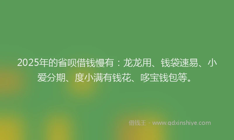 2025年的省呗借钱慢有：龙龙用、钱袋速易、小爱分期、度小满有钱花、哆宝钱包等。