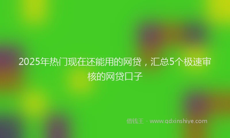 2025年热门现在还能用的网贷，汇总5个极速审核的网贷口子