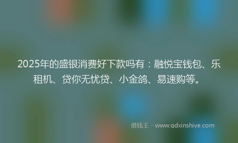 2025年的盛银消费好下款吗有：融悦宝钱包、乐租机、贷你无忧贷、小金鸽、易速购等。