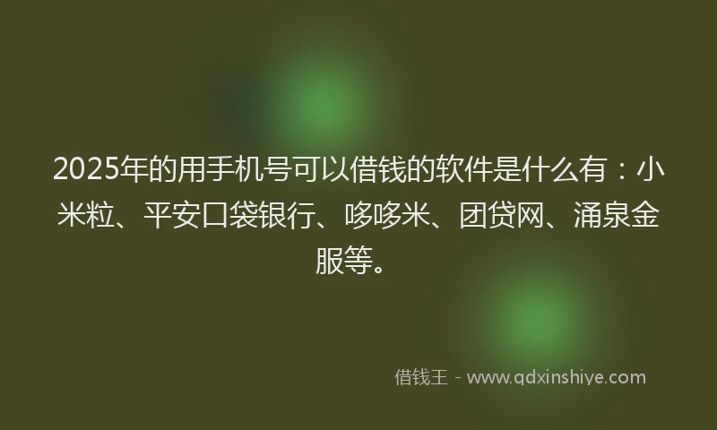 2025年的用手机号可以借钱的软件是什么有：小米粒、平安口袋银行、哆哆米、团贷网、涌泉金服等。