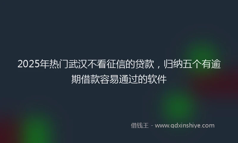 2025年热门武汉不看征信的贷款，归纳五个有逾期借款容易通过的软件