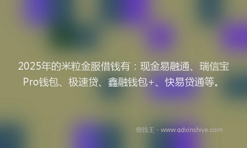 2025年的米粒金服借钱有：现金易融通、瑞信宝Pro钱包、极速贷、鑫融钱包+、快易贷通等。