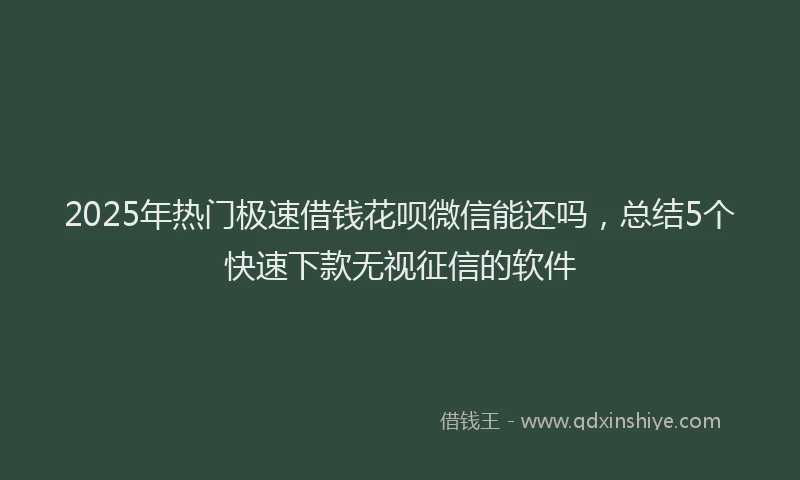 2025年热门极速借钱花呗微信能还吗，总结5个快速下款无视征信的软件