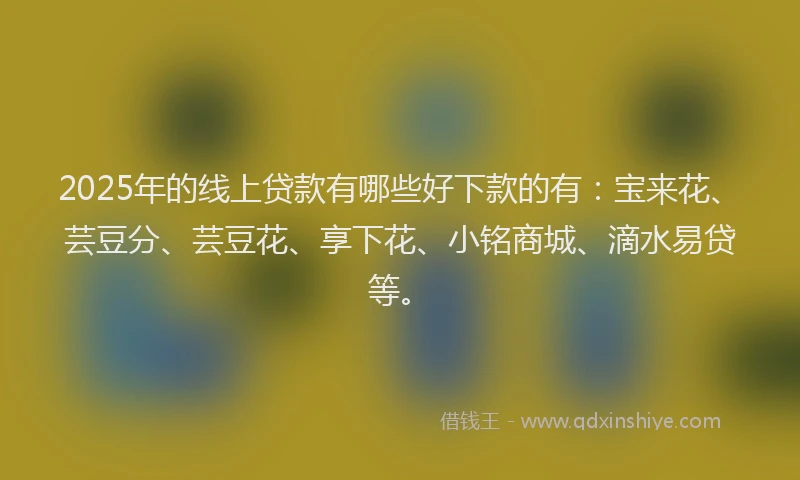 2025年的线上贷款有哪些好下款的有：宝来花、芸豆分、芸豆花、享下花、小铭商城、滴水易贷等。