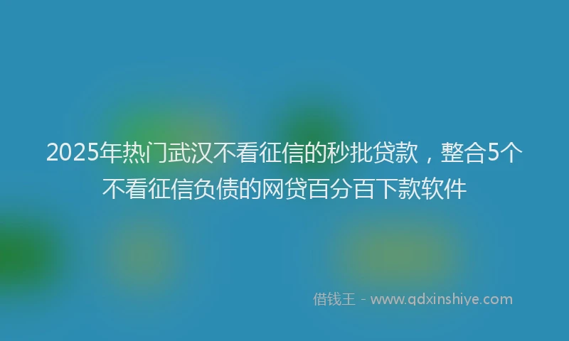 2025年热门武汉不看征信的秒批贷款，整合5个不看征信负债的网贷百分百下款软件