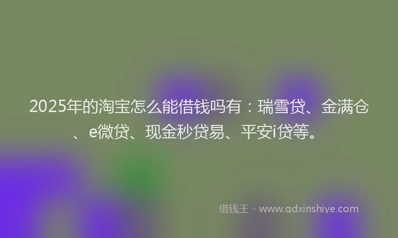 2025年的淘宝怎么能借钱吗有：瑞雪贷、金满仓、e微贷、现金秒贷易、平安i贷等。