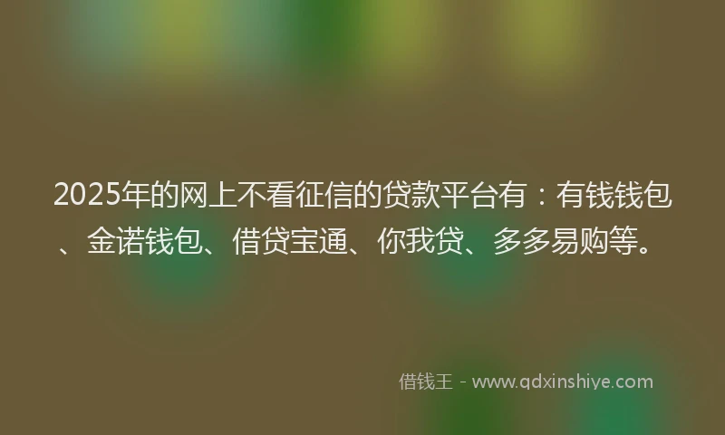2025年的网上不看征信的贷款平台有：有钱钱包、金诺钱包、借贷宝通、你我贷、多多易购等。