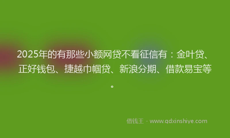 2025年的有那些小额网贷不看征信有：金叶贷、正好钱包、捷越巾帼贷、新浪分期、借款易宝等。