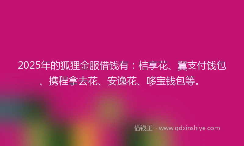 2025年的狐狸金服借钱有：桔享花、翼支付钱包、携程拿去花、安逸花、哆宝钱包等。