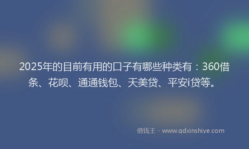 2025年的目前有用的口子有哪些种类有：360借条、花呗、通通钱包、天美贷、平安i贷等。