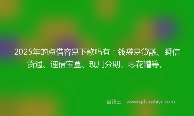 2025年的点借容易下款吗有：钱袋易贷融、瞬信贷通、速借宝盒、现用分期、零花罐等。
