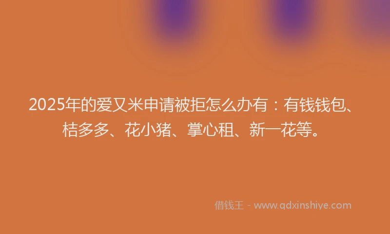 2025年的爱又米申请被拒怎么办有：有钱钱包、桔多多、花小猪、掌心租、新一花等。