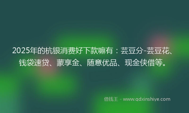 2025年的杭银消费好下款嘛有：芸豆分-芸豆花、钱袋速贷、蒙享金、随意优品、现金侠借等。