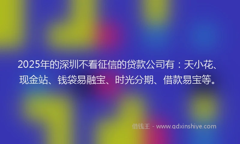 2025年的深圳不看征信的贷款公司有：天小花、现金站、钱袋易融宝、时光分期、借款易宝等。