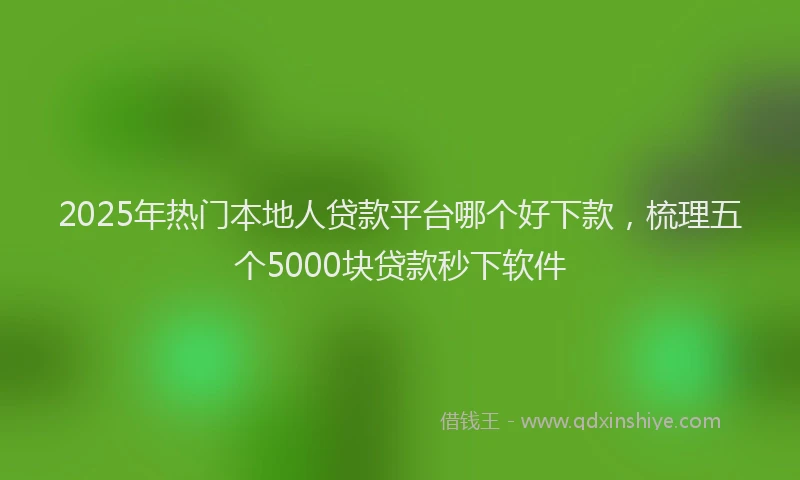 2025年热门本地人贷款平台哪个好下款，梳理五个5000块贷款秒下软件