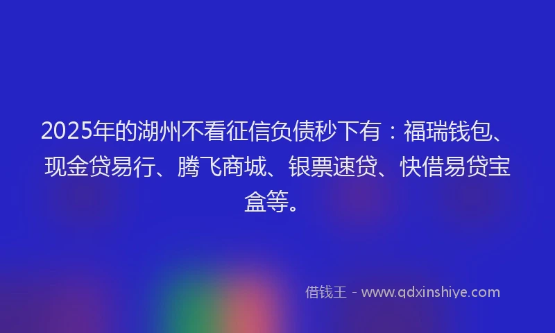 2025年的湖州不看征信负债秒下有：福瑞钱包、现金贷易行、腾飞商城、银票速贷、快借易贷宝盒等。