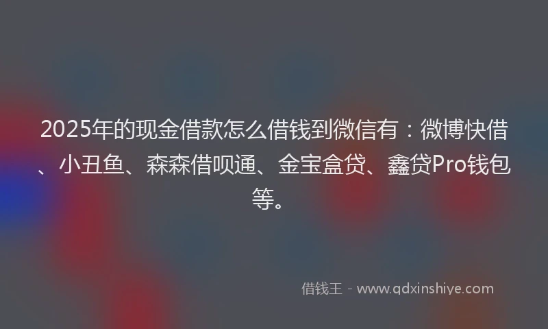 2025年的现金借款怎么借钱到微信有：微博快借、小丑鱼、森森借呗通、金宝盒贷、鑫贷Pro钱包等。