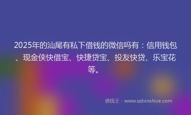 2025年的汕尾有私下借钱的微信吗有：信用钱包、现金侠快借宝、快捷贷宝、投友快贷、乐宝花等。