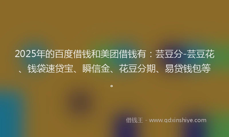 2025年的百度借钱和美团借钱有：芸豆分-芸豆花、钱袋速贷宝、瞬信金、花豆分期、易贷钱包等。