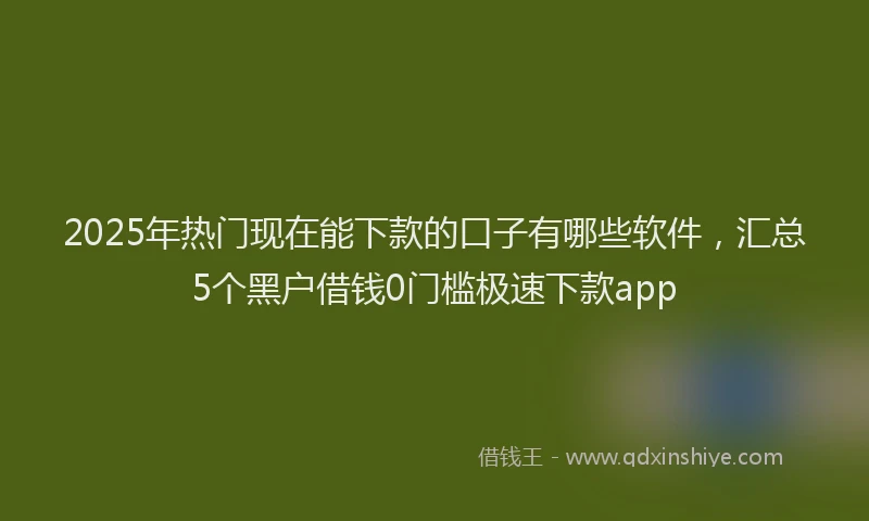 2025年热门现在能下款的口子有哪些软件，汇总5个黑户借钱0门槛极速下款app