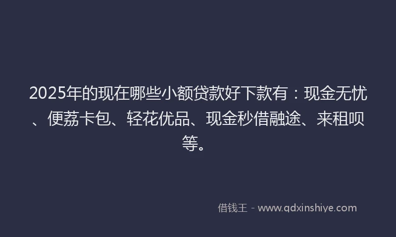 2025年的现在哪些小额贷款好下款有：现金无忧、便荔卡包、轻花优品、现金秒借融途、来租呗等。
