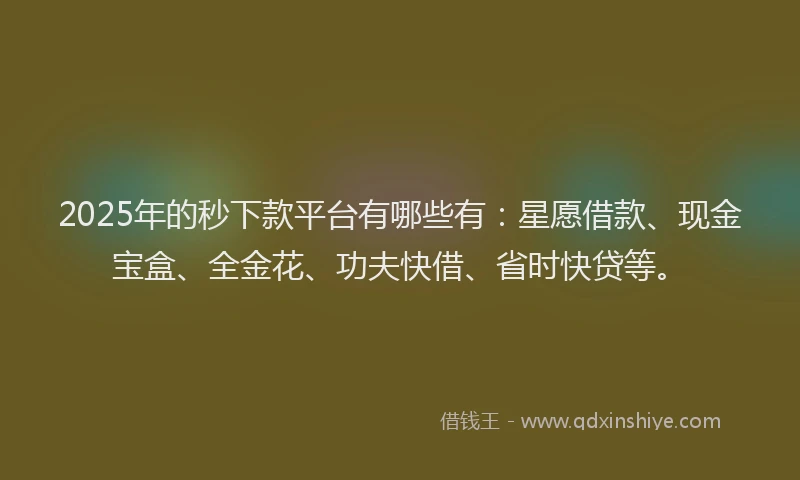 2025年的秒下款平台有哪些有：星愿借款、现金宝盒、全金花、功夫快借、省时快贷等。