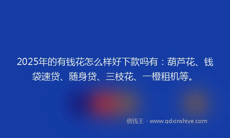 2025年的有钱花怎么样好下款吗有：葫芦花、钱袋速贷、随身贷、三枝花、一橙租机等。