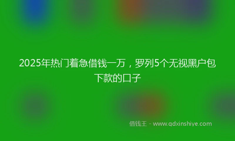 2025年热门着急借钱一万，罗列5个无视黑户包下款的口子
