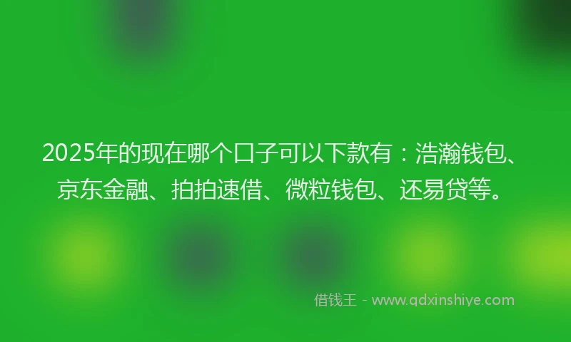 2025年的现在哪个口子可以下款有：浩瀚钱包、京东金融、拍拍速借、微粒钱包、还易贷等。