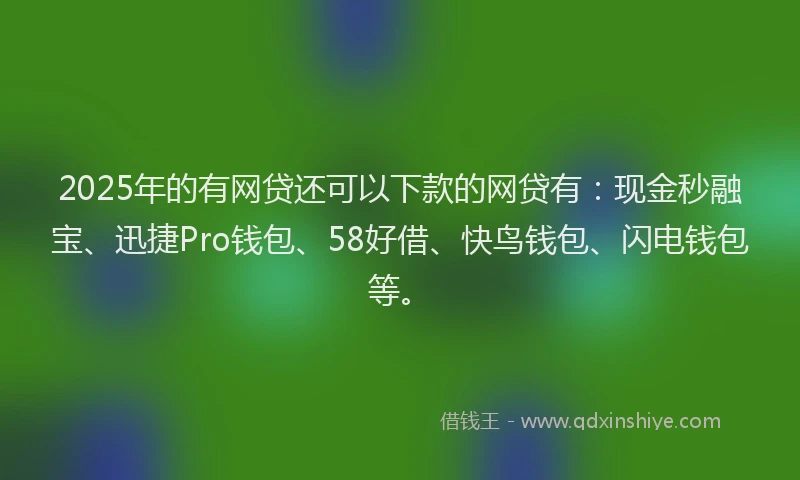 2025年的有网贷还可以下款的网贷有：现金秒融宝、迅捷Pro钱包、58好借、快鸟钱包、闪电钱包等。