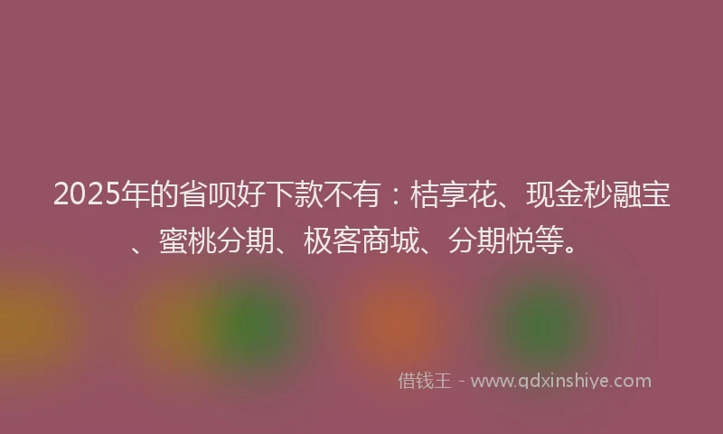 2025年的省呗好下款不有：桔享花、现金秒融宝、蜜桃分期、极客商城、分期悦等。