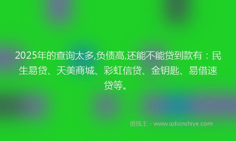 2025年的查询太多,负债高,还能不能贷到款有：民生易贷、天美商城、彩虹信贷、金钥匙、易借速贷等。