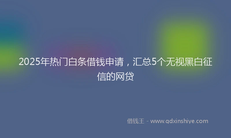 2025年热门白条借钱申请，汇总5个无视黑白征信的网贷