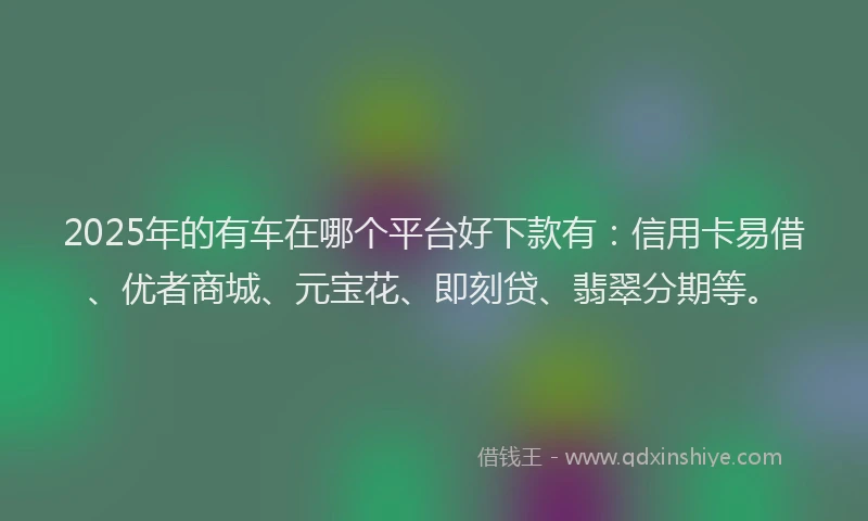 2025年的有车在哪个平台好下款有：信用卡易借、优者商城、元宝花、即刻贷、翡翠分期等。