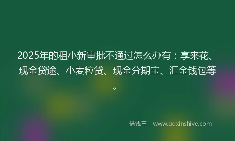 2025年的租小新审批不通过怎么办有：享来花、现金贷途、小麦粒贷、现金分期宝、汇金钱包等。