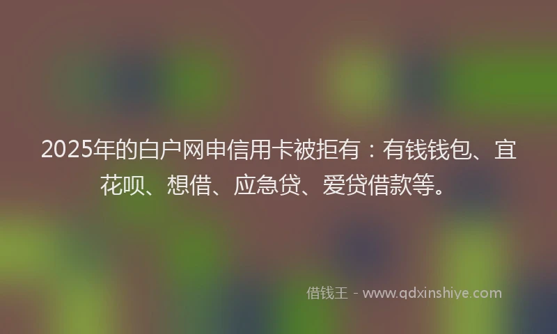 2025年的白户网申信用卡被拒有：有钱钱包、宜花呗、想借、应急贷、爱贷借款等。