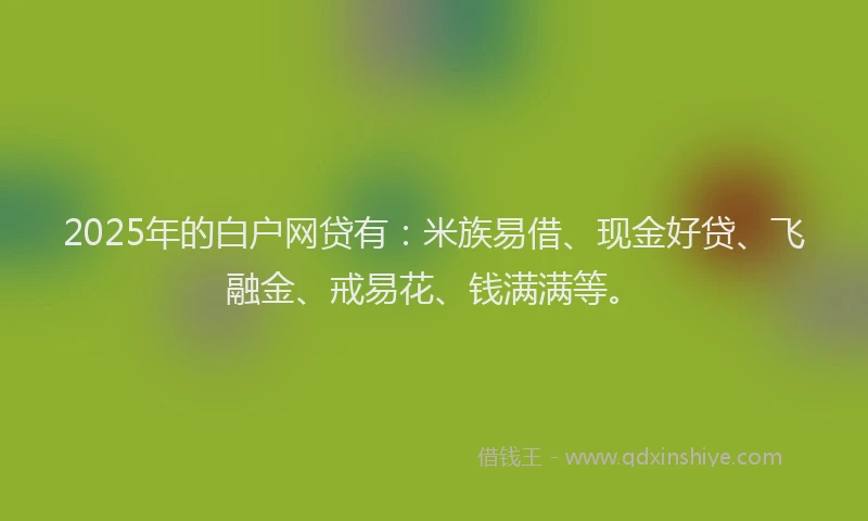 2025年的白户网贷有：米族易借、现金好贷、飞融金、戒易花、钱满满等。