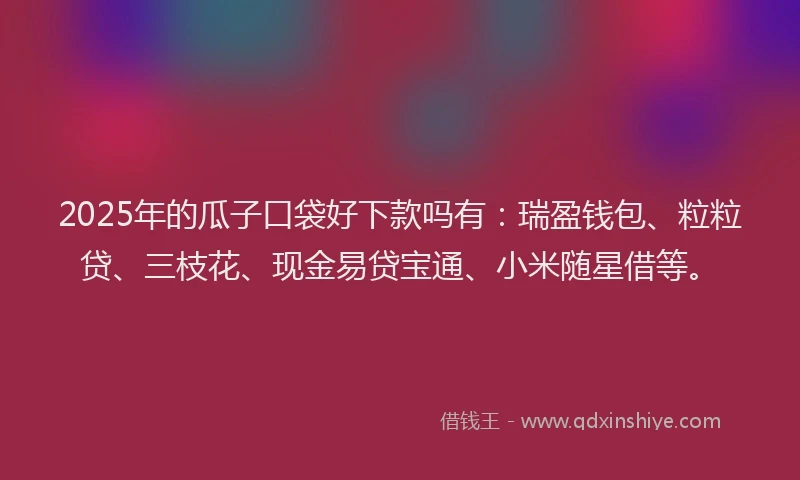 2025年的瓜子口袋好下款吗有：瑞盈钱包、粒粒贷、三枝花、现金易贷宝通、小米随星借等。