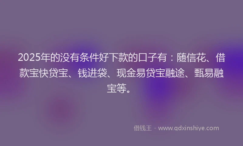 2025年的没有条件好下款的口子有：随信花、借款宝快贷宝、钱进袋、现金易贷宝融途、甄易融宝等。