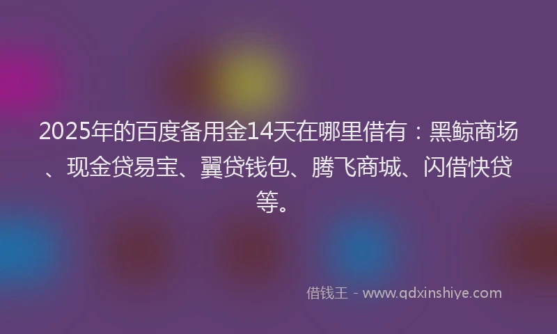 2025年的百度备用金14天在哪里借有：黑鲸商场、现金贷易宝、翼贷钱包、腾飞商城、闪借快贷等。