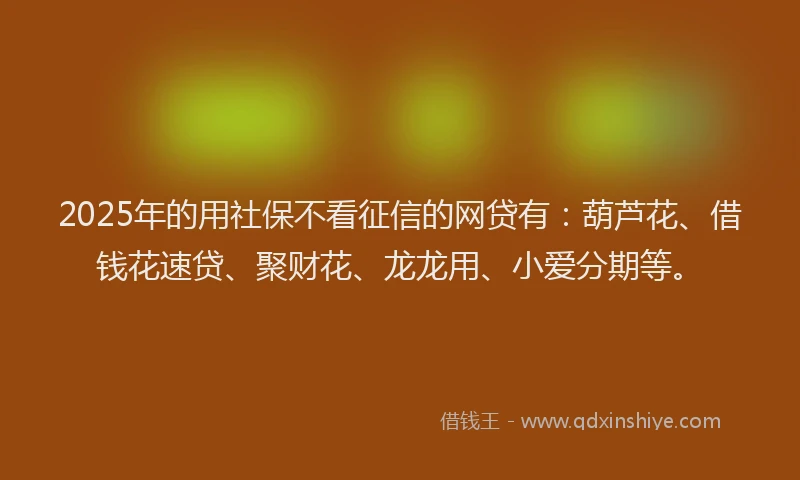 2025年的用社保不看征信的网贷有：葫芦花、借钱花速贷、聚财花、龙龙用、小爱分期等。