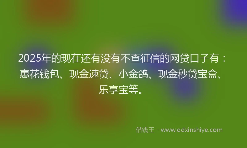 2025年的现在还有没有不查征信的网贷口子有：惠花钱包、现金速贷、小金鸽、现金秒贷宝盒、乐享宝等。