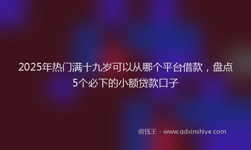 2025年热门满十九岁可以从哪个平台借款，盘点5个必下的小额贷款口子