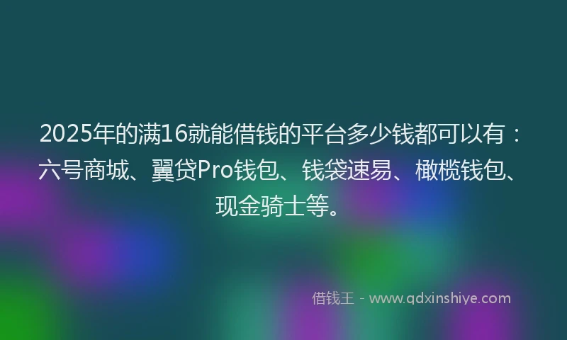 2025年的满16就能借钱的平台多少钱都可以有：六号商城、翼贷Pro钱包、钱袋速易、橄榄钱包、现金骑士等。