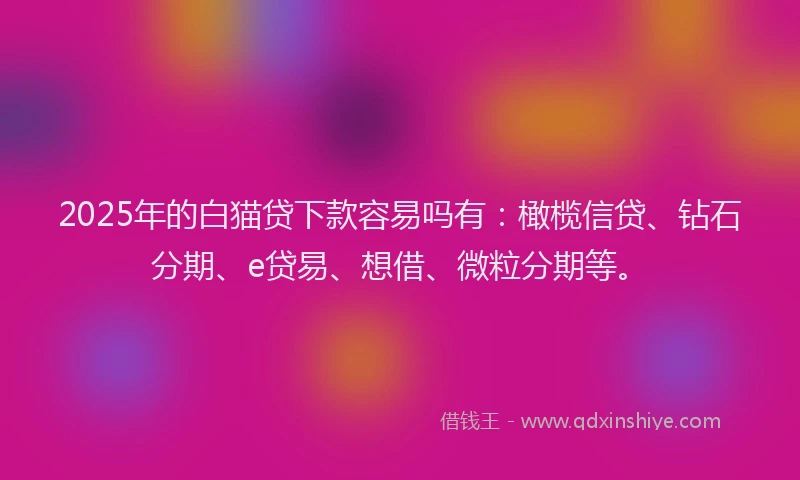 2025年的白猫贷下款容易吗有：橄榄信贷、钻石分期、e贷易、想借、微粒分期等。