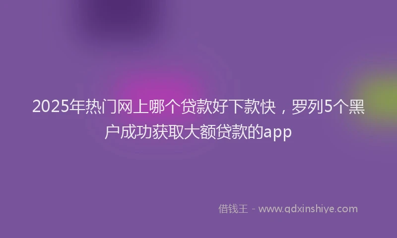 2025年热门网上哪个贷款好下款快，罗列5个黑户成功获取大额贷款的app