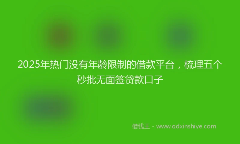 2025年热门没有年龄限制的借款平台，梳理五个秒批无面签贷款口子